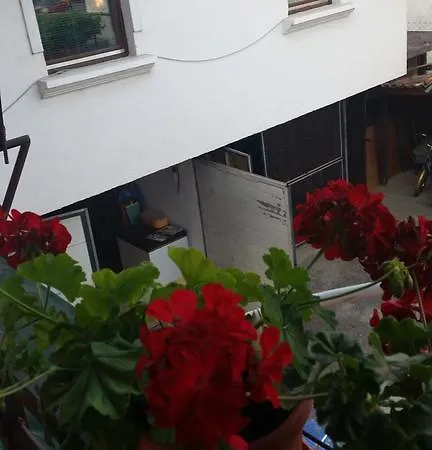 Apartment Aida