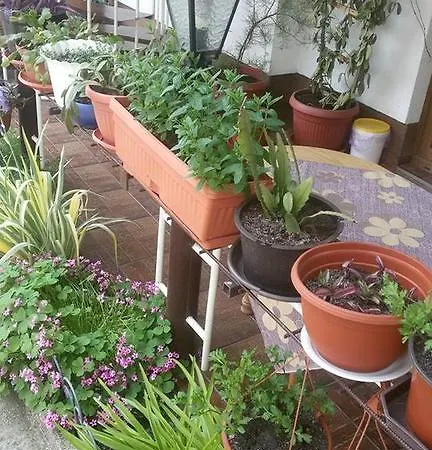 Apartment Aida Bihac