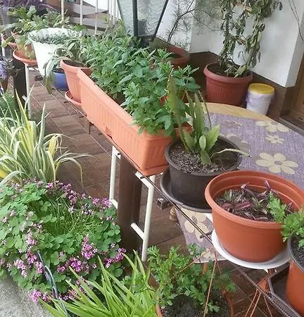 Apartman Aida Bihać